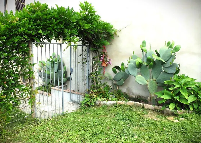 La Cheta