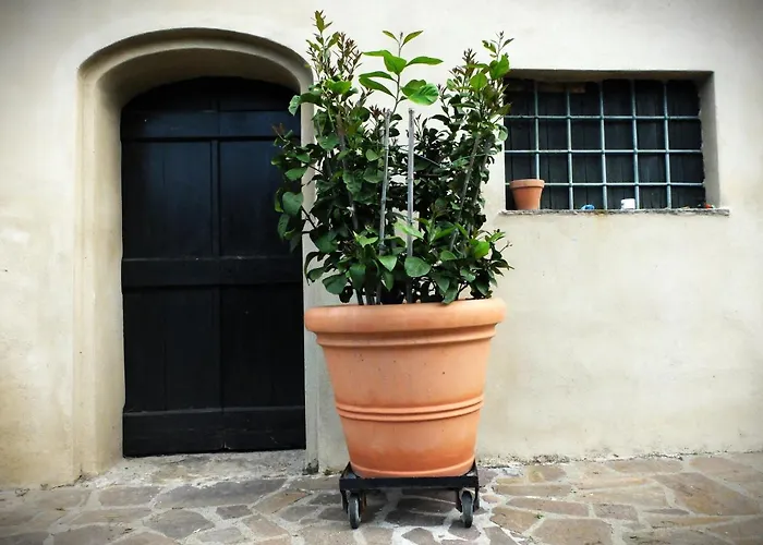 La Cheta Holiday home