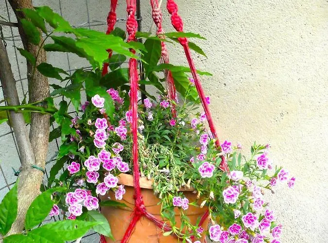 La Cheta Monsagrati